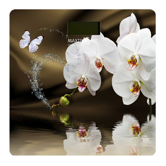 Весы напольные электронные 150 кг 30*30 см стекло Орхидеи Maxtronic (1/10)