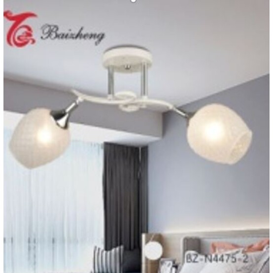 Акция! Люстра 2 плафона 54*19*25 см E27 BZ-N4475-2 Baizheng (1/4)