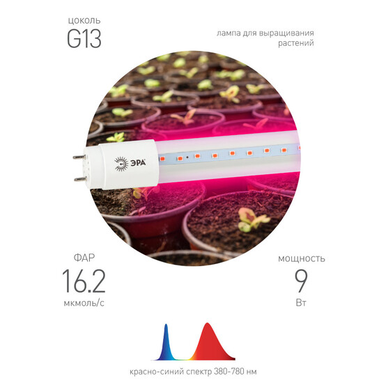 FITO Лампы тип цоколя Т8  ЭРА Лампа красно-синего спектра FITO-9W-RB-Т8-G13-NL