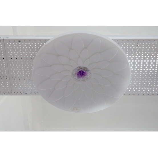Светильник LED (розовый) QBZ-1078G Светильник LED (розовый) QBZ-1078G