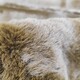 Коврик интерьерный BAIZHENG "Меховой" 60*90 коричневый, полиэстер BZ100002CF  (30)