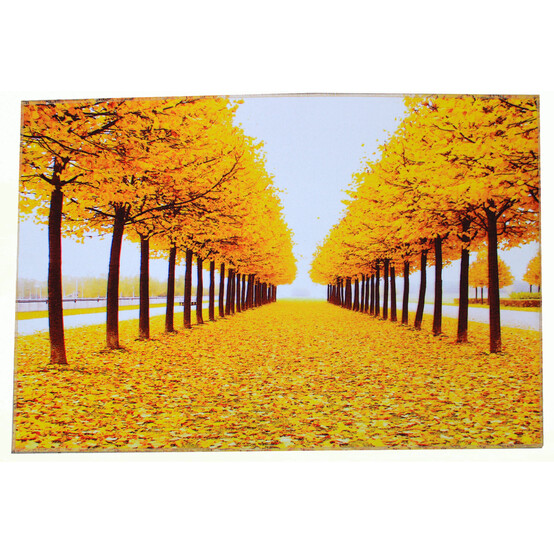 Коврик 3D 40*60 см B146