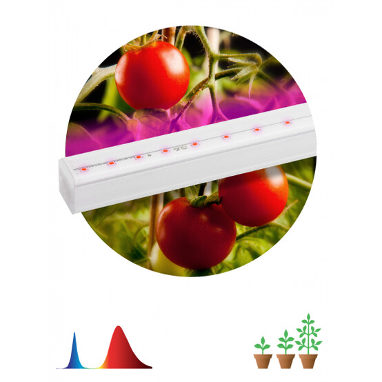 Линейный LED светильник PROM FITO-14W-Т5-N Линейный LED светильник PROM FITO-14W-Т5-N