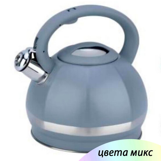 Чайник нерж сталь  3,5 л со свистком микс EB-6031 Baizheng (1/12)