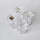 Набор пластиковый для специй 5 пр подставка прозрачный Jam Jar white Fessle (1/24)