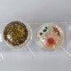 Набор пластиковый для специй 7 пр ложка подставка прозрачный Jam Jar Fessle (1/24)
