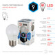 Лампа светодиодная  ЭРА LED P45-9w-840-E27