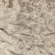 Портьера Карара 150*260см латте Ле-Гранд