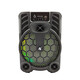 Акустическая система 10 Вт 22,4*16,9*30,5 см микрофон пульт Bluetooth черный Baizheng (1/6)