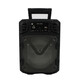 Акустическая система 10 Вт 18*12,5*25 см микрофон пульт USB FM Bluetooth черный Baizheng (1/2)