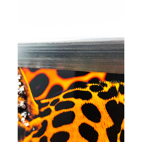 Картина 40*40 см  "Леопард" Baizheng (1/25)
