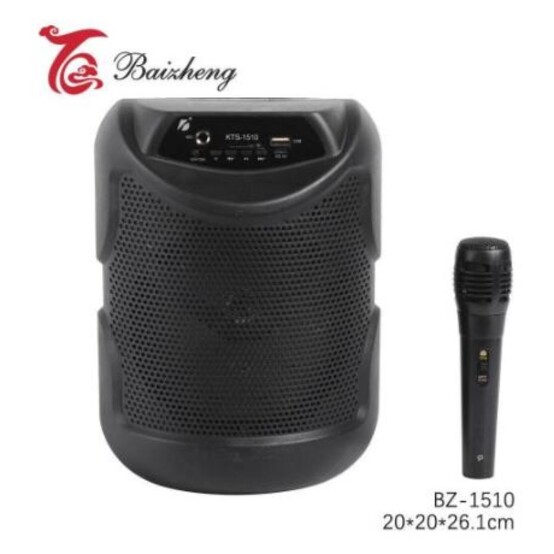 Акустическая система 10 Вт 20*20*26,1 см микрофон пульт USB FM Bluetooth черный Baizheng (1/16)